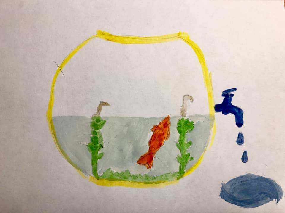 робота Артема Рукомеди